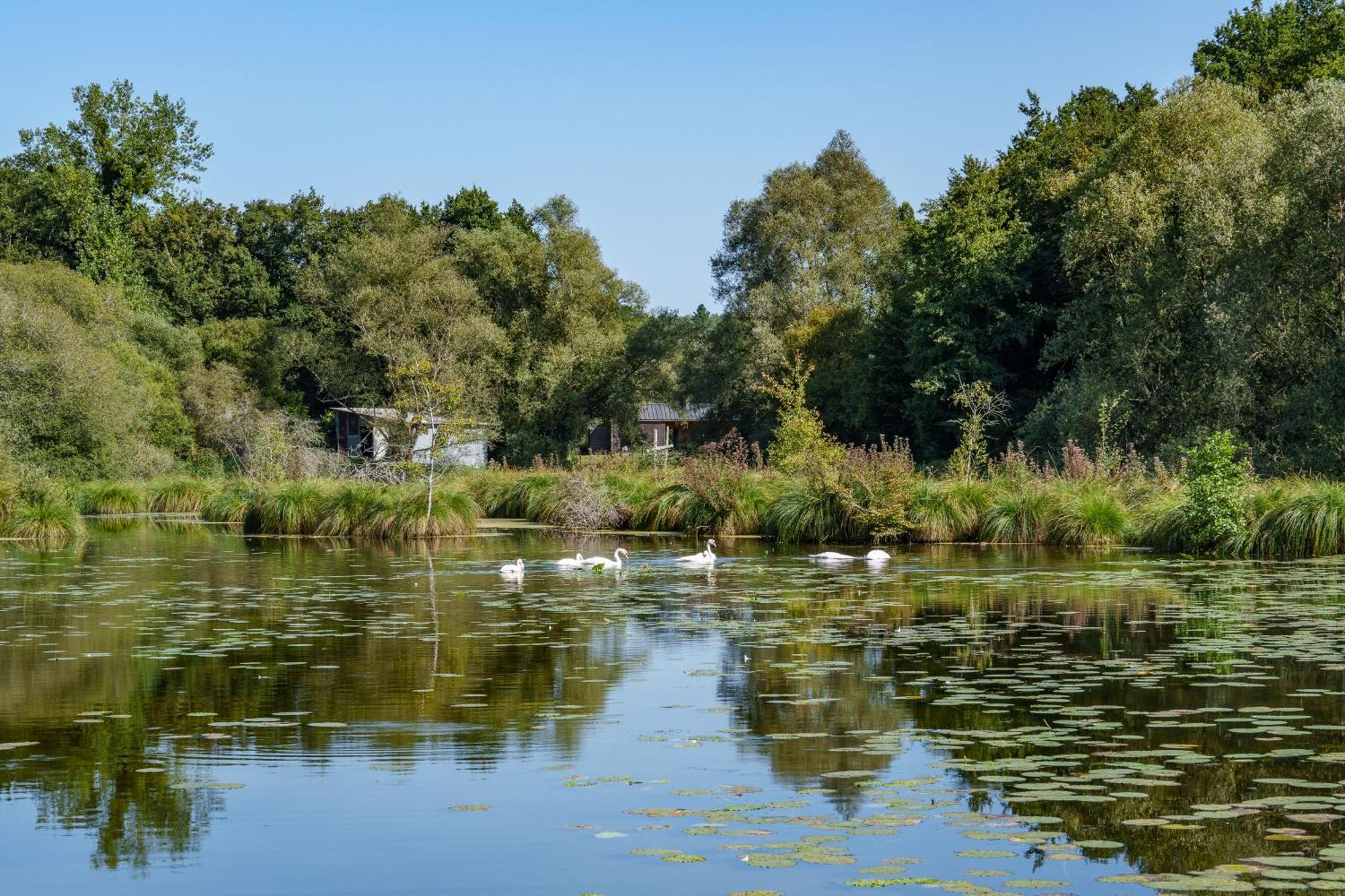 La Cabane Du Pont Du Douet Mazieres-de-Touraine Exterior foto